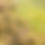 Thumbnail: Lawn Aeration