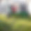Thumbnail: Season-long Weed Control & Fertilizer