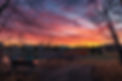 iStock-1316545347.jpg