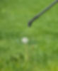 spraying-pesticide-on-dandelion-bloom-lawn-weed-control-203951188_edited.jpg