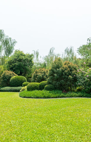 iStock-1347784849_edited.jpg
